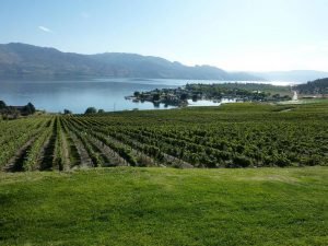 okanagan wineries