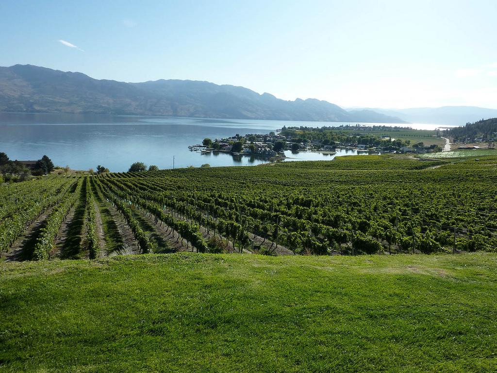 okanagan wineries