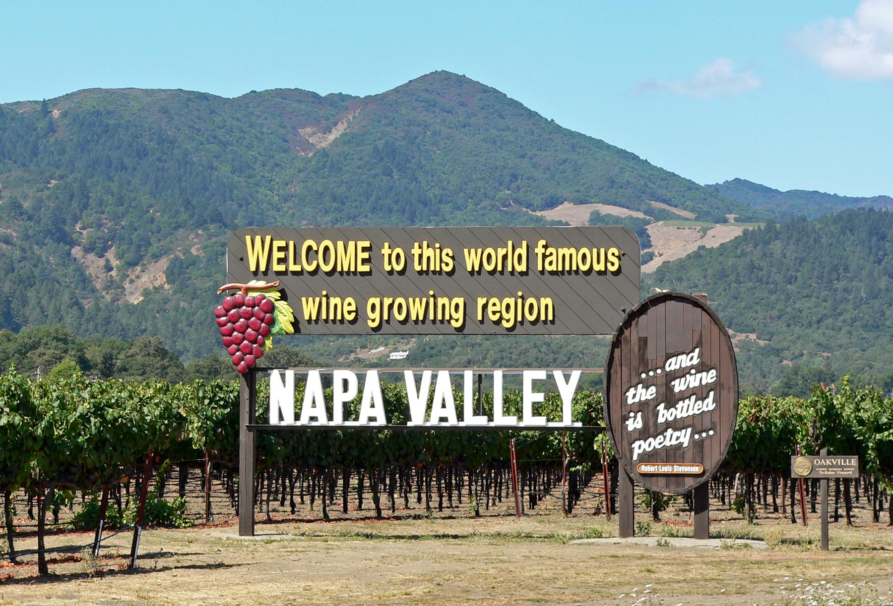 What Makes Napa Valley So Special? - The Small Winemakers Collection