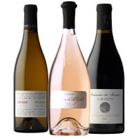 Baudry Dutour Mixed Case Loire Sampler